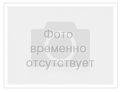 Держатели печатной продукции купить по лучшей цене с доставкой. Продажа Держатель буклетов 1-секция 'Классический' высокого качества в интернет-магазине Posmshop.